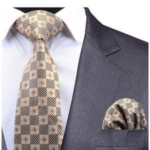 Mens Paisely Silk Necktie and Pocket Square Set
